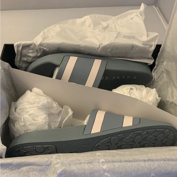COACH ULI HC SPORT SLIDE WITH HORSE AND CARRIGE PRINT - Cornflower/Chalk New Sz6 - Picture 3 of 4